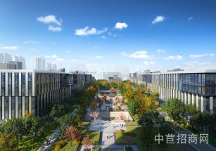 臨港松江科技綠洲二期松江九亭開發商直售研發生產廠房  300平  可環評