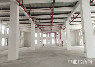 閔行金地9#閔行馬橋雙層廠房出租，底樓7.2米可架行車，通蒸汽天然氣