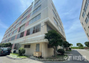 外岡20畝獨門獨院廠房出售