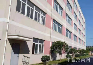 嘉定外岡獨門獨院，占地12畝