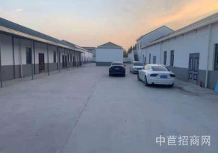 新橋獨門獨院單層廠房出租松江單層廠房  層高8米  獨門獨院  原房東出租無中介費