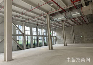 閔虹-智造源閔行開發區獨棟研發廠房出租，底樓層高8米，可做隔層