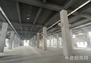 閔虹智芯源泥城原房東廠房出租，首層層高8米，建筑面積6300平