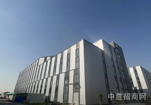 閔虹智芯源臨港新片區單層廠房出租，泥城鎮廠房出租，無公攤價格含稅