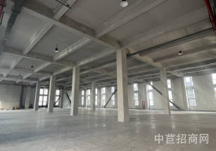 閔虹智芯源泥城多層廠房出租，原房東廠房出租，無(wú)公攤價(jià)格含稅