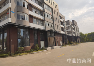 閔行辰客向陽園閔行獨(dú)棟研發(fā)辦公廠房出租/原房東出租/價格含稅/無公攤