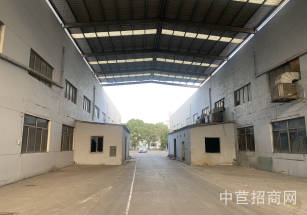 大港單層廠房出租出租原房東單層廠房，園區場地大，大車周轉靈活