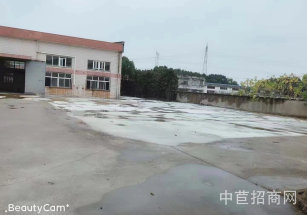 新橋獨(dú)門獨(dú)院出租價格洼地! 獨(dú)棟單層廠房出租 空地大 大車周轉(zhuǎn)靈活