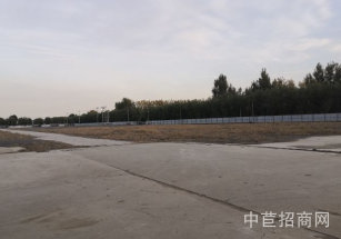 奉賢臨港土地出租20畝