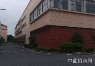 馬橋11畝獨門獨院廠房出售