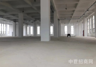 上海市奉賢區青村11.3畝廠房出售