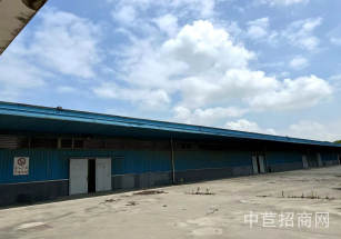 浦東155畝獨門獨院出售