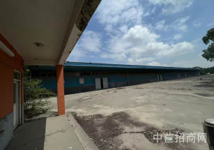 浦東155畝獨門獨院出售臨港新片區二手廠房出售，建筑面積4萬平，占地155畝