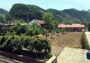 浦東110畝物流用地