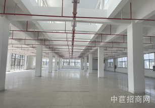 金顓科創(chuàng)園現(xiàn)成精裝辦公室實(shí)驗(yàn)室出租，104地塊多層，可定制裝修