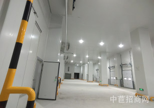 申港路18000平冷庫出租3000方新建冷庫出租，層高9米，園區(qū)空地大方便進(jìn)出