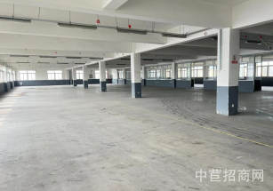 寶山楊行廠房出租楊行輕加工廠房出租，適合電子、服裝、組裝、醫療器械