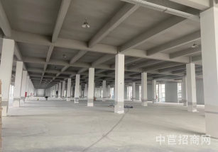 滬升智造園青浦華新獨門獨院廠房出租，32000平，大平層可分割