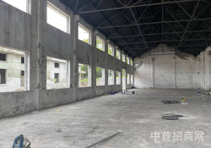 上海應用技術大學科創園閔行分園閔行小面積獨棟單層廠房出租，478平起，無公攤空地大