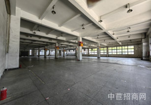 中春陽光科技園莘莊工業區大平層廠房出租，適合組裝研發、半導體芯片、新能源