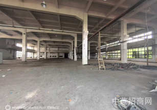 中春陽光科技園*閔行新項(xiàng)目招租，5萬平，無稅收要求，單層10米高
