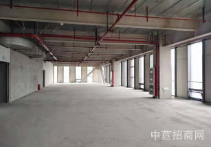 臨港松江·科技綠洲二期九亭松江科技城國(guó)企物業(yè)出租，無公攤，300平起租