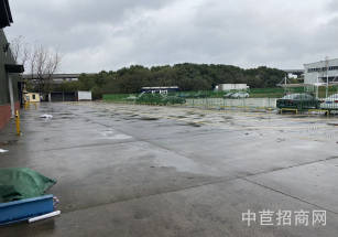 浦江物流產(chǎn)業(yè)園浦江小業(yè)主單層廠房出租，層高8米，可搭貨架，大空地