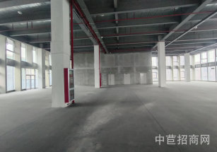 紅虹科創(chuàng)園泗涇大平層廠房出租1167平，首層7.2米高，車位充足