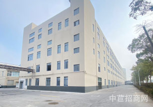 美康維科創產業園泗涇原房東廠房出租，首層8米，配電5630kva，大小可分租