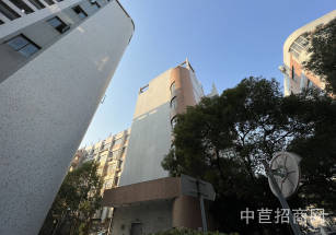 上海市徐匯區徐匯漕河涇大平層廠房