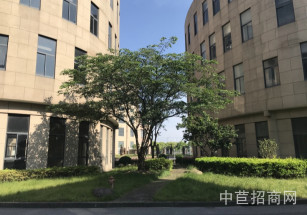 金領之都（南金橋）