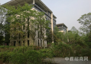 奉賢區 104地塊 可辦環評 交通便捷 獨門獨院 1樓7.2