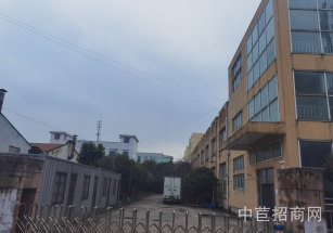 寶山羅店4.3畝獨院廠房