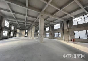 松江車墩新建雙層獨(dú)棟廠房