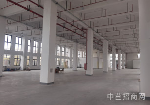 松江泗涇獨院6畝新建廠房